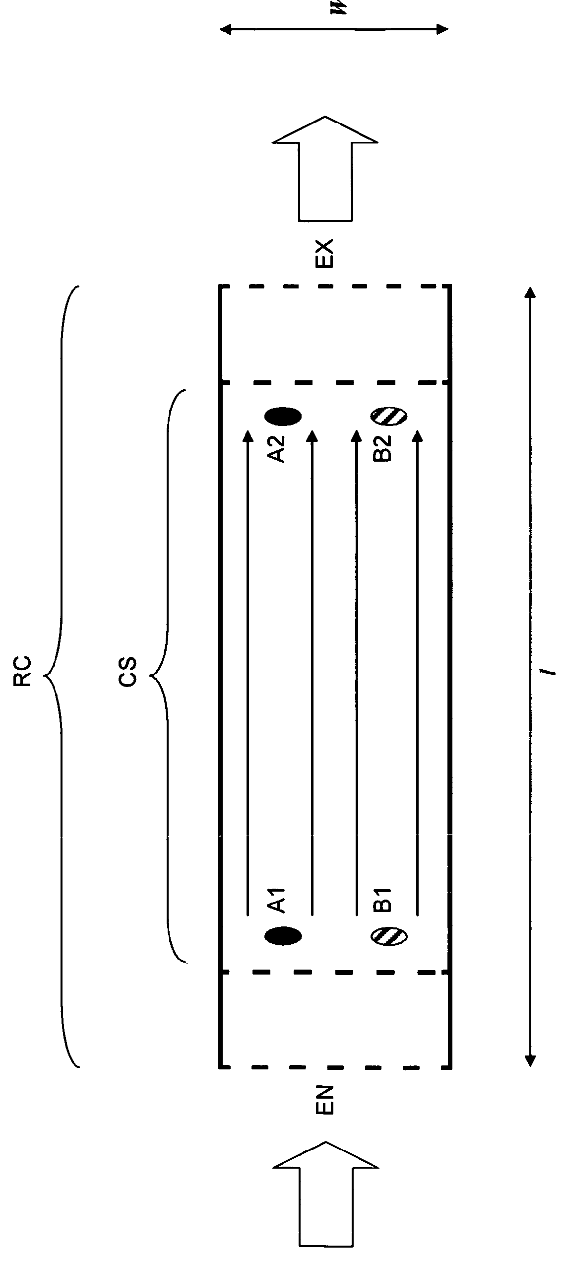 Reactor system for electroporation