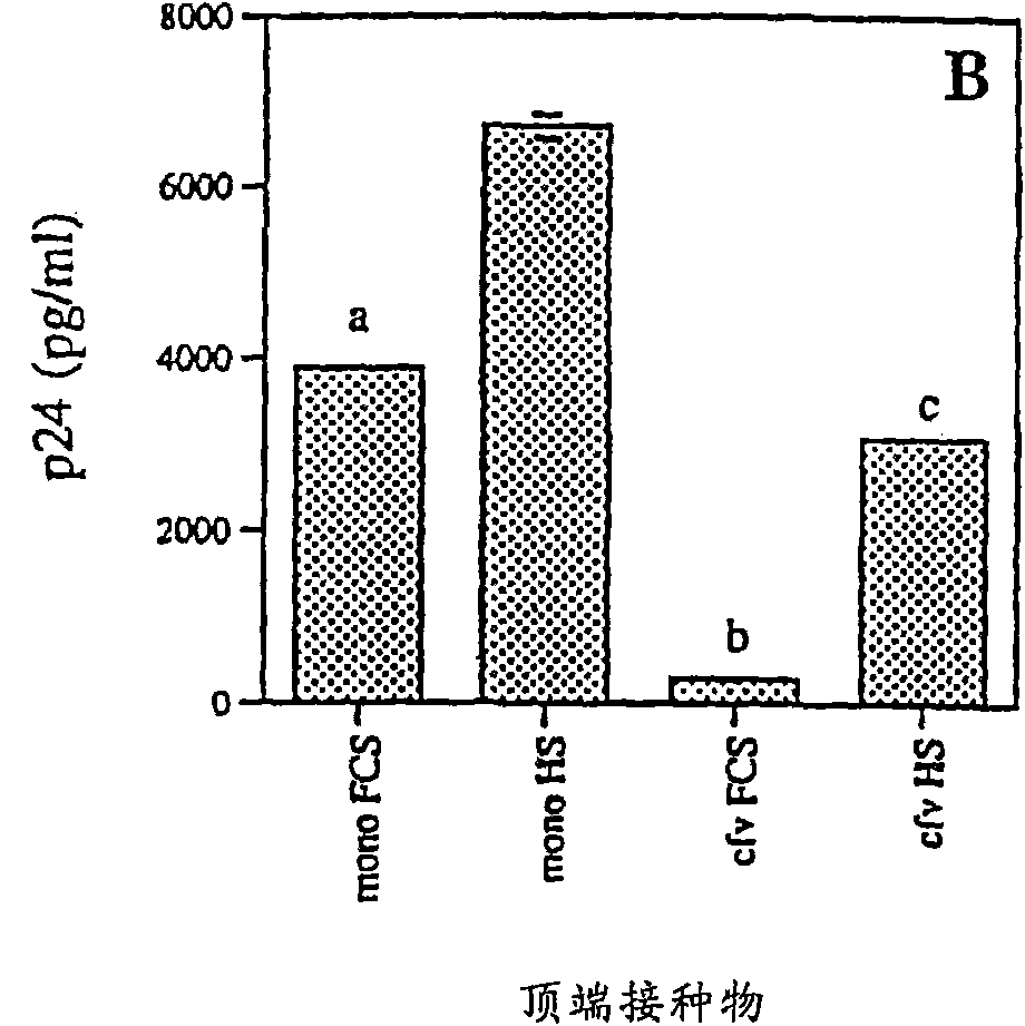 Compositions and methods for preventing transepithelial transmission of hiv