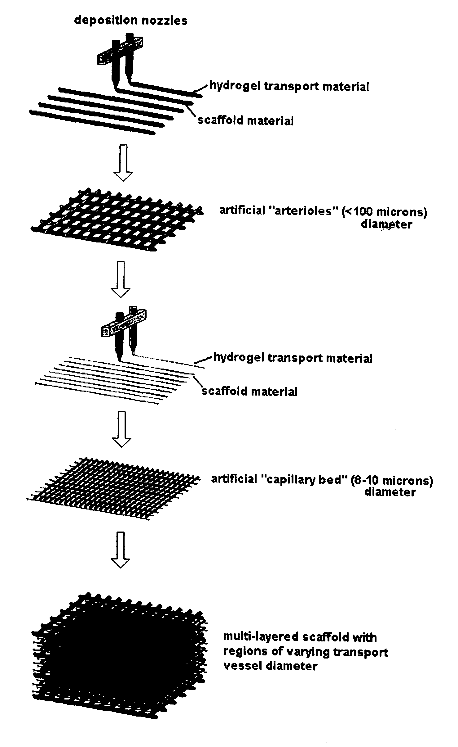 Method for creating an internal transport system within tissue scaffolds using computer-aided tissue engineering