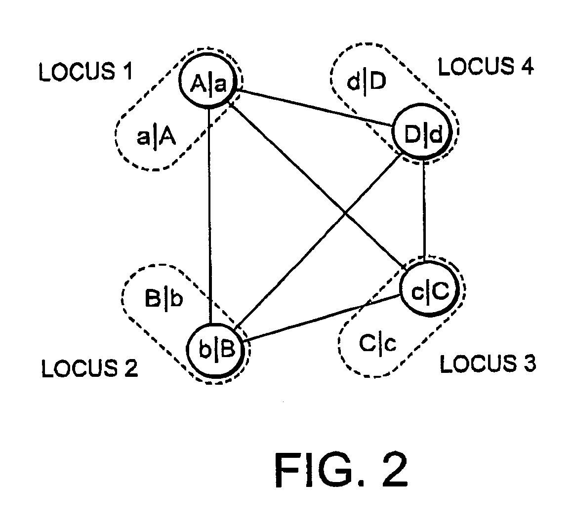 Haplotype estimation method