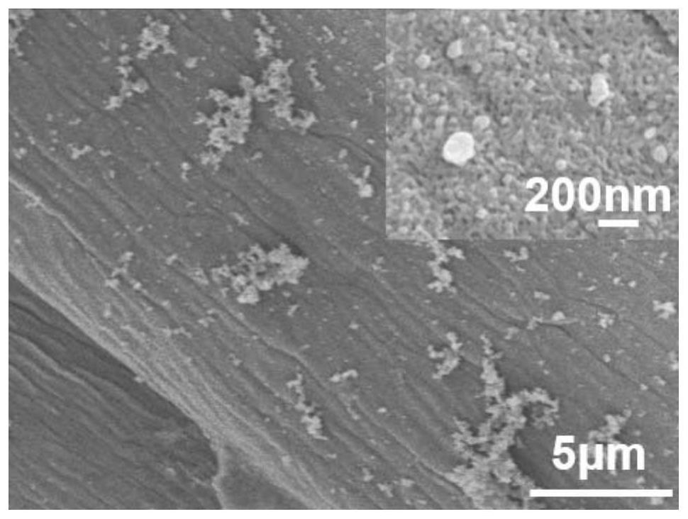 Super-amphiphobic fabric and preparation method thereof