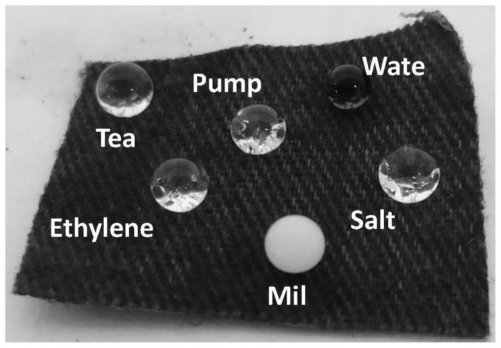 Super-amphiphobic fabric and preparation method thereof