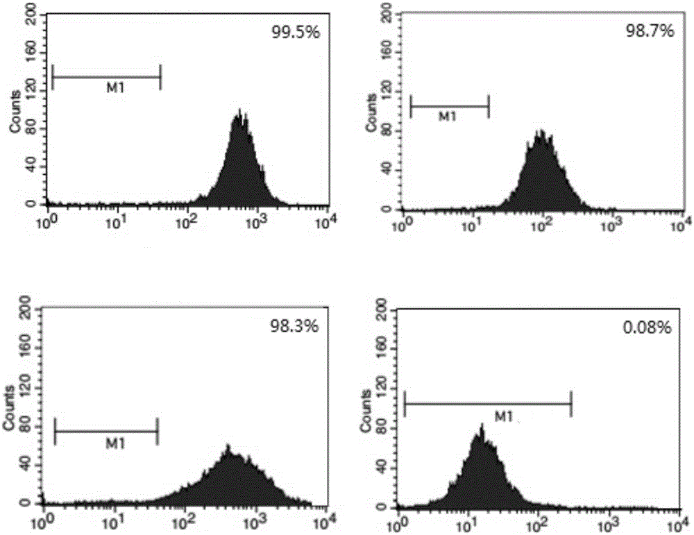 hUCMSCs (human umbilical cord mesenchymal stem cells) carrying PEDF (pigment epithelial-derived factor) and modified with recombinant lentivirus as well as preparation method of hUCMSCs