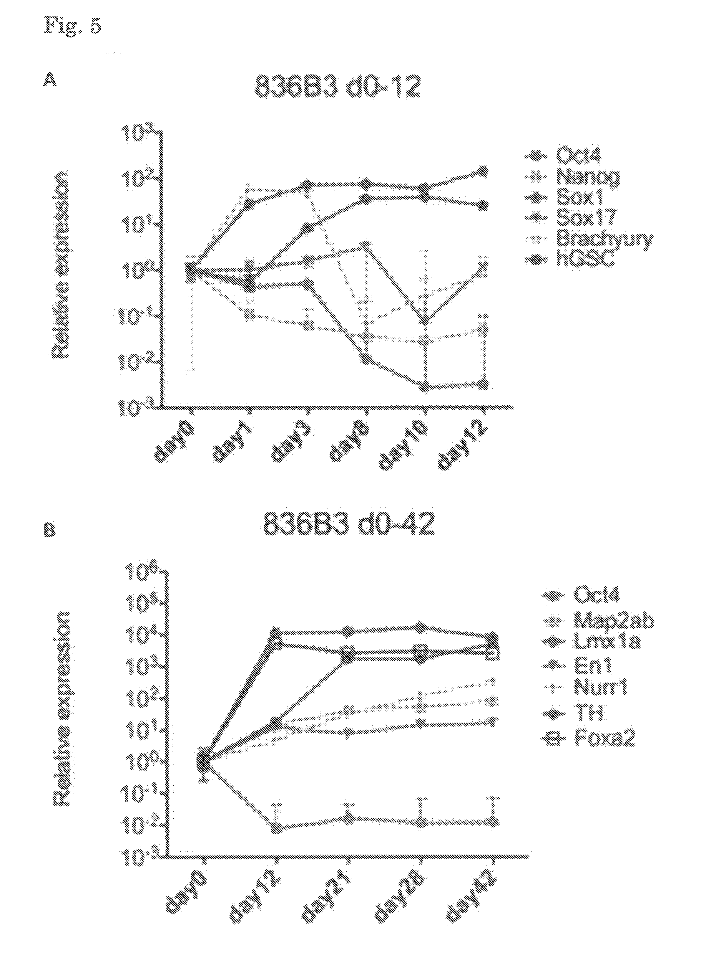 Method for inducing dopaminergic neuron progenitor cells