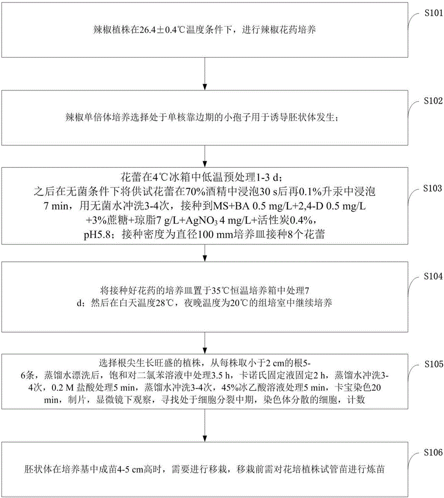 Method for restoring new germplasm by rapidly creating male sterility of processing type hot pepper