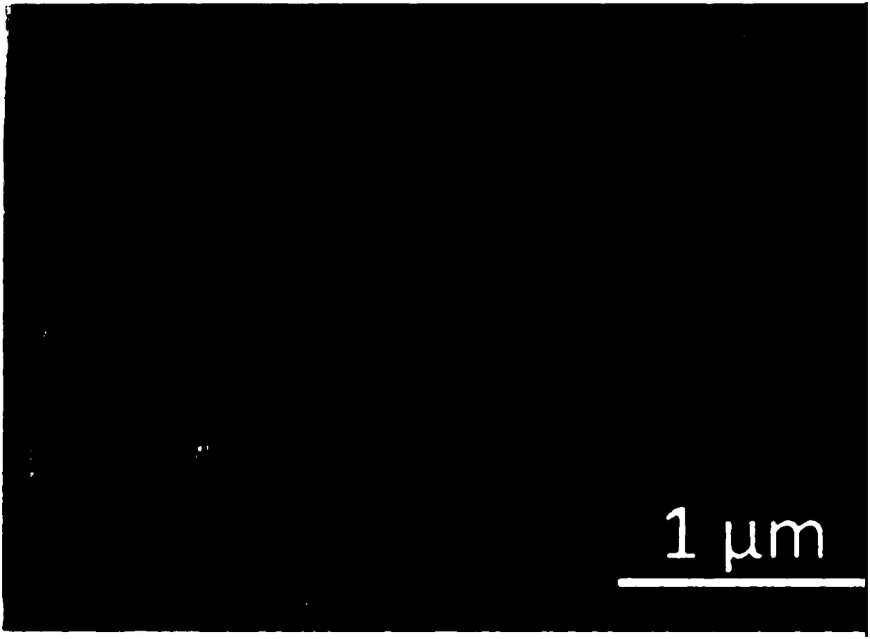 Ferroelectric polymer electric card material and preparation method thereof