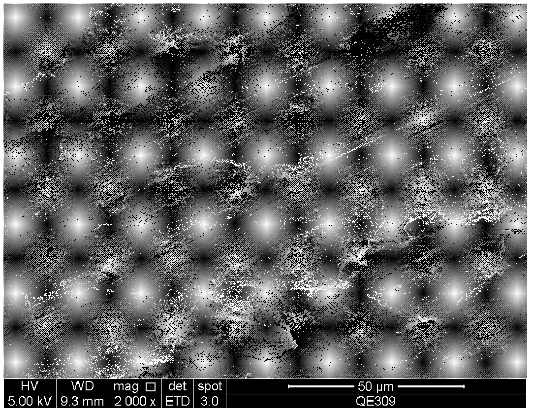 Titanium diboride-nickel thin film with coating structure and preparation method thereof