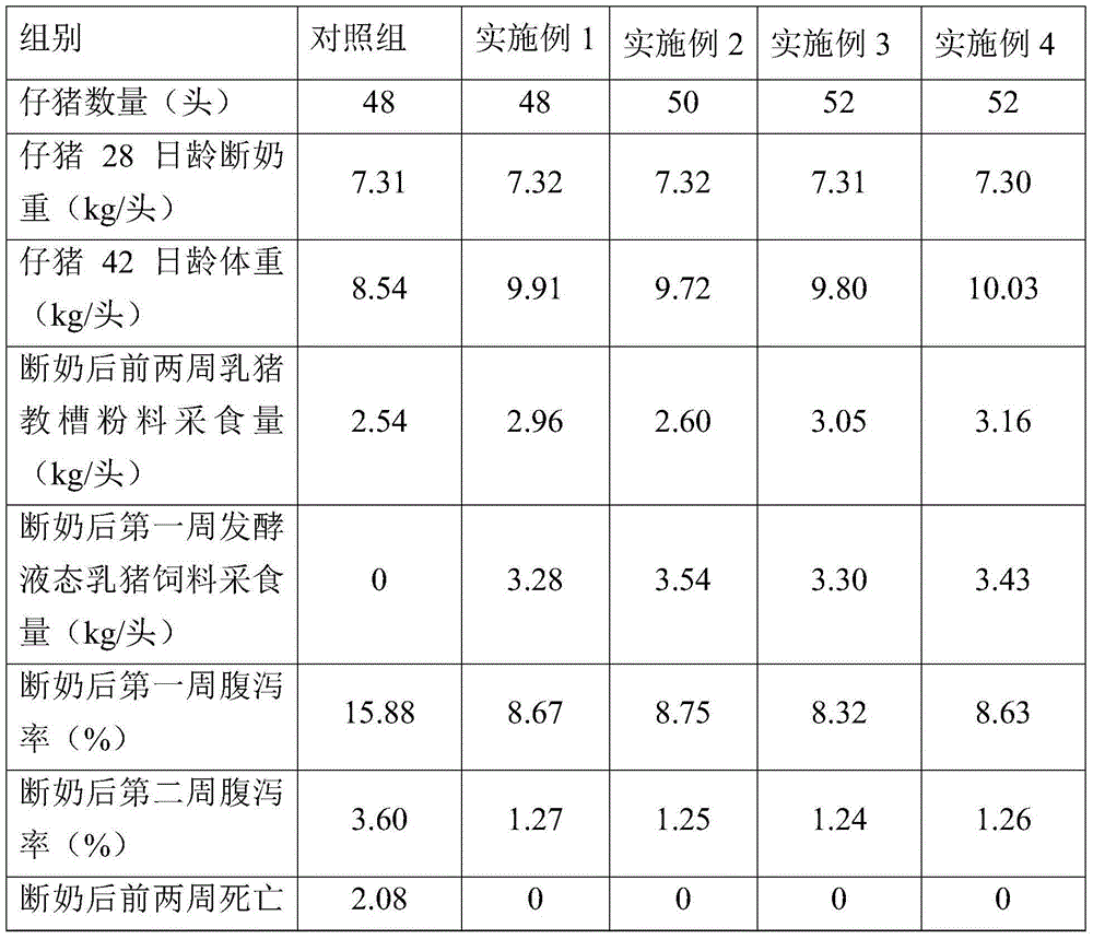 Fermented liquid suckling pig feed and preparation method thereof