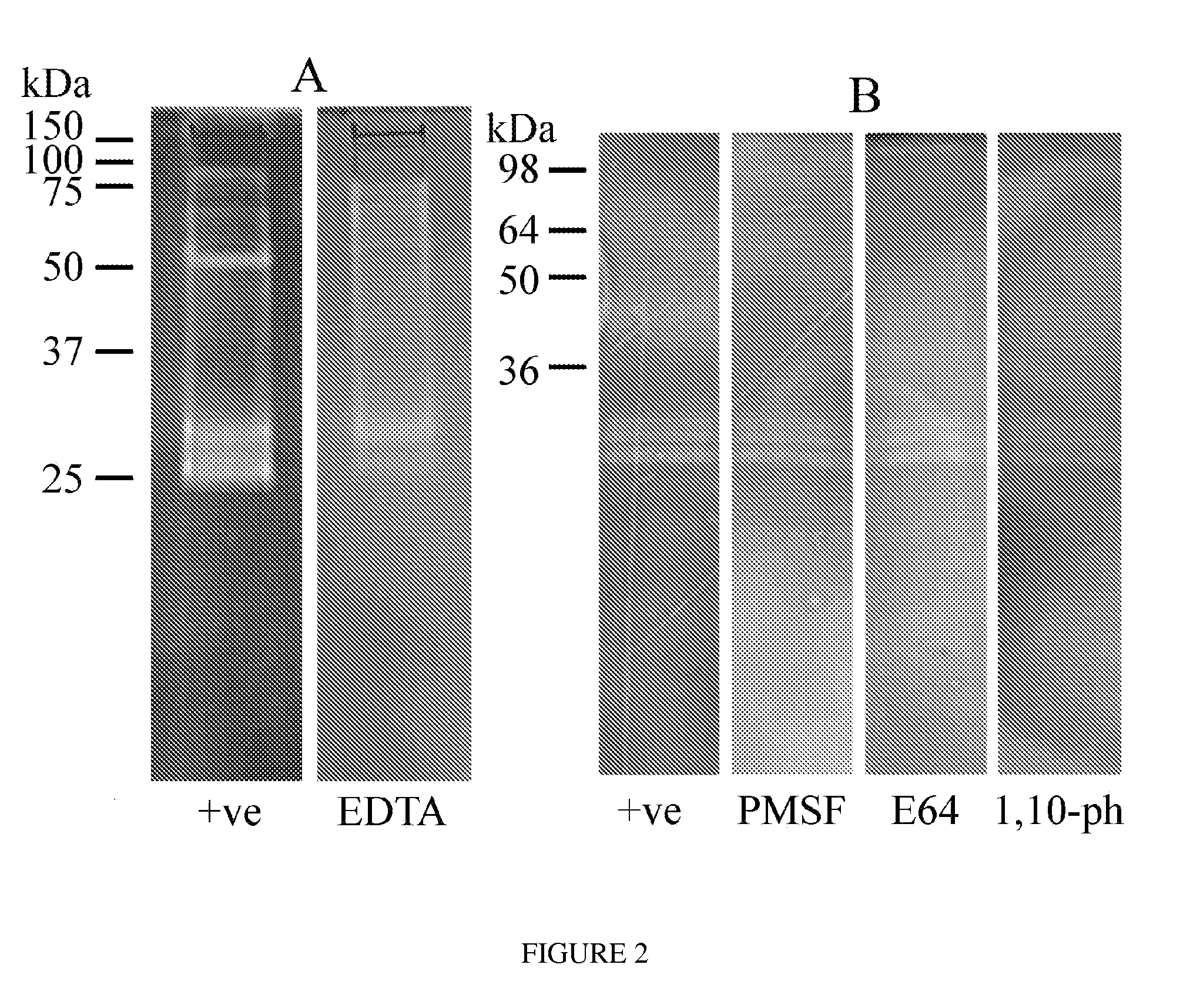 Compositions and Methods for Controlling Infestation