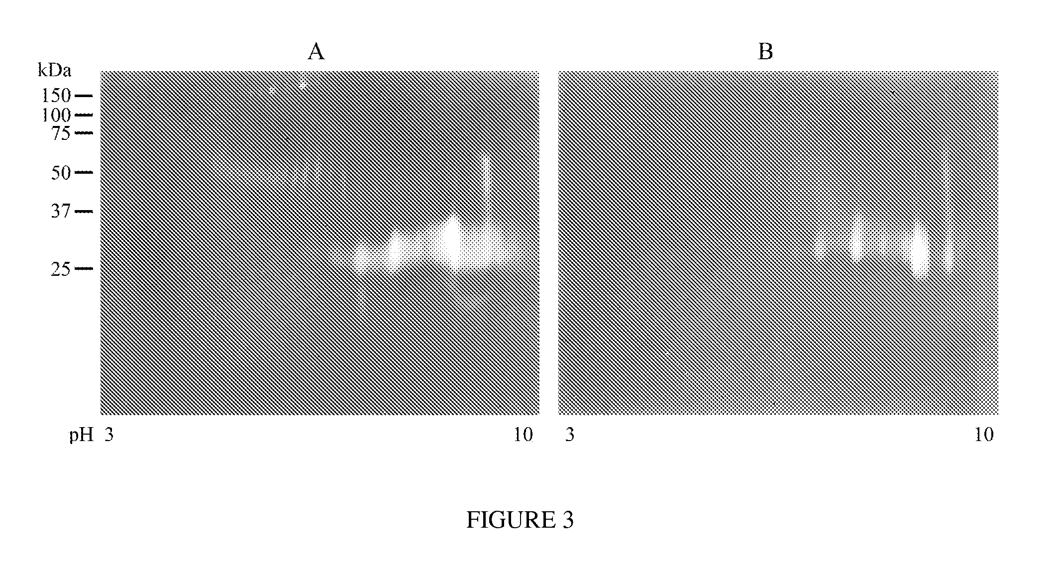 Compositions and Methods for Controlling Infestation