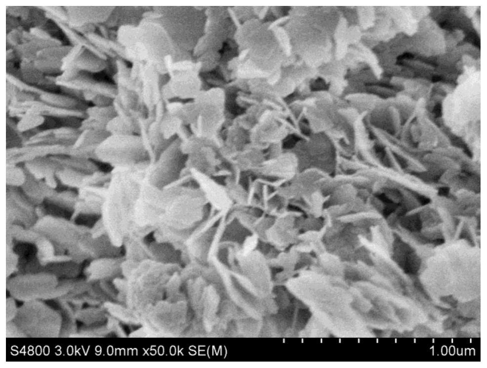 a li-co  <sub>2</sub> Double metal oxide nanosheets for battery and its preparation method and application