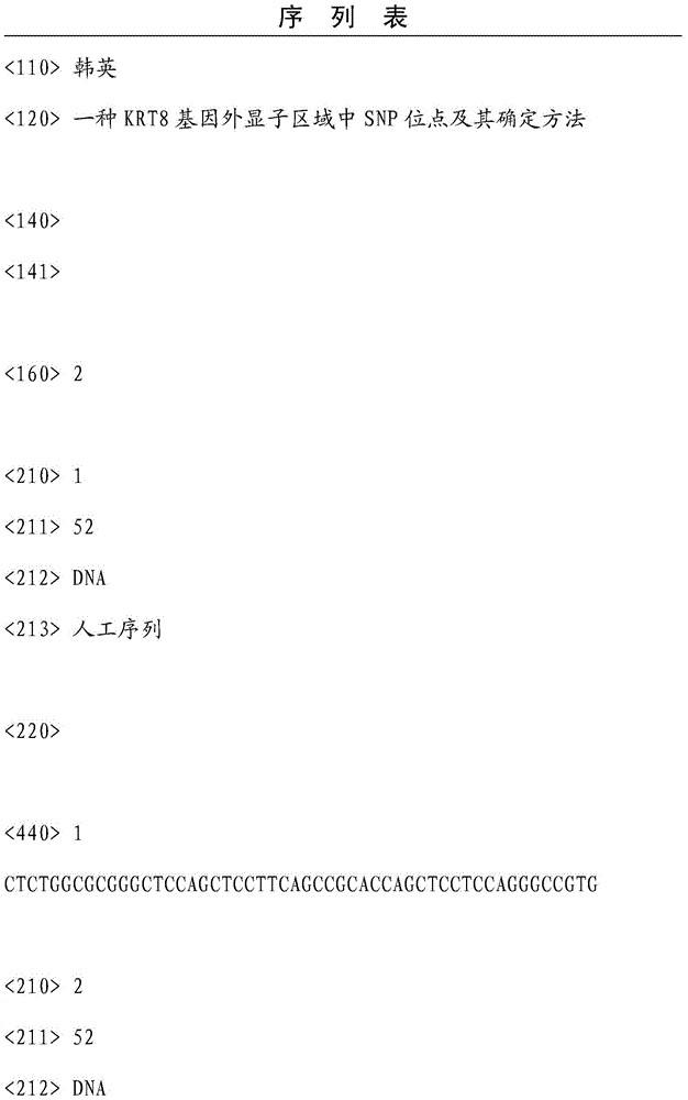 SNP in KRT8 gene exon area and determination method thereof