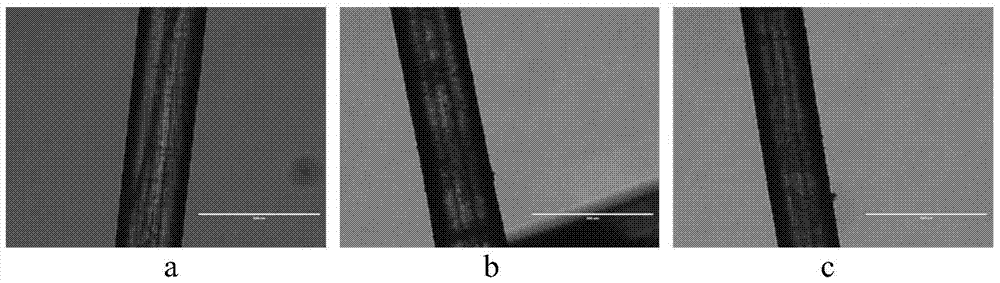 A kind of composite polypropylene mesh and preparation method thereof