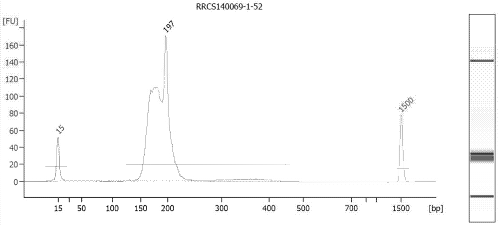 Simplified method and kit for constructing library for apparent bisulfite sequencing