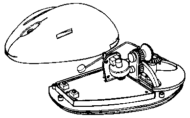 Mouse design based on ergonomics