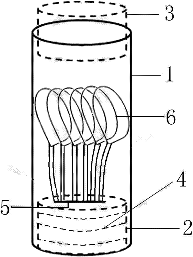 Method of rearing single-head diamondback moth indoors