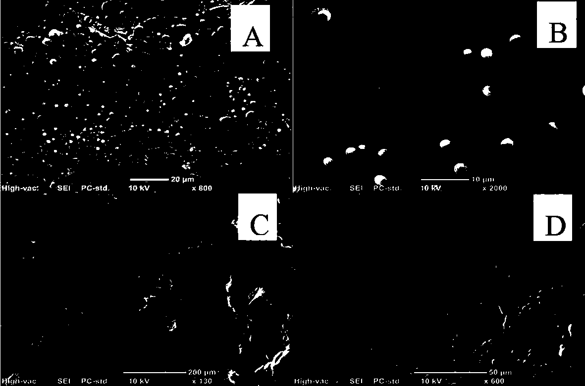 Micro-emulsion gel-based tobacco moisture-preserving flavoring agent as well as preparation method and application thereof