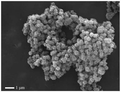 A kind of positive electrode material of sodium-sulfur battery and preparation method thereof