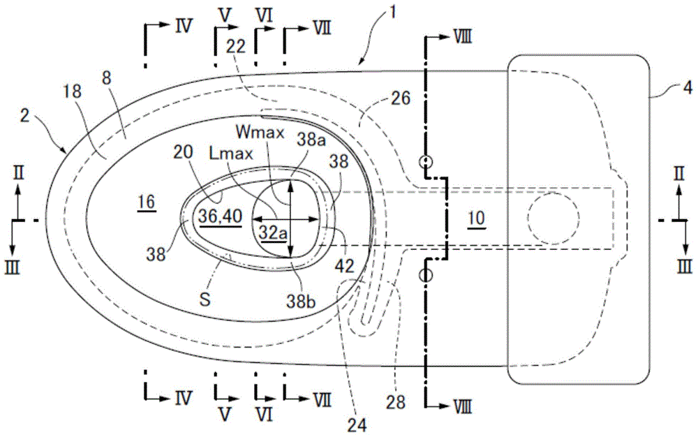 Flush toilet apparatus