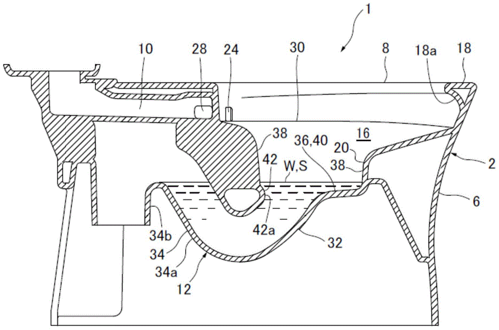 Flush toilet apparatus