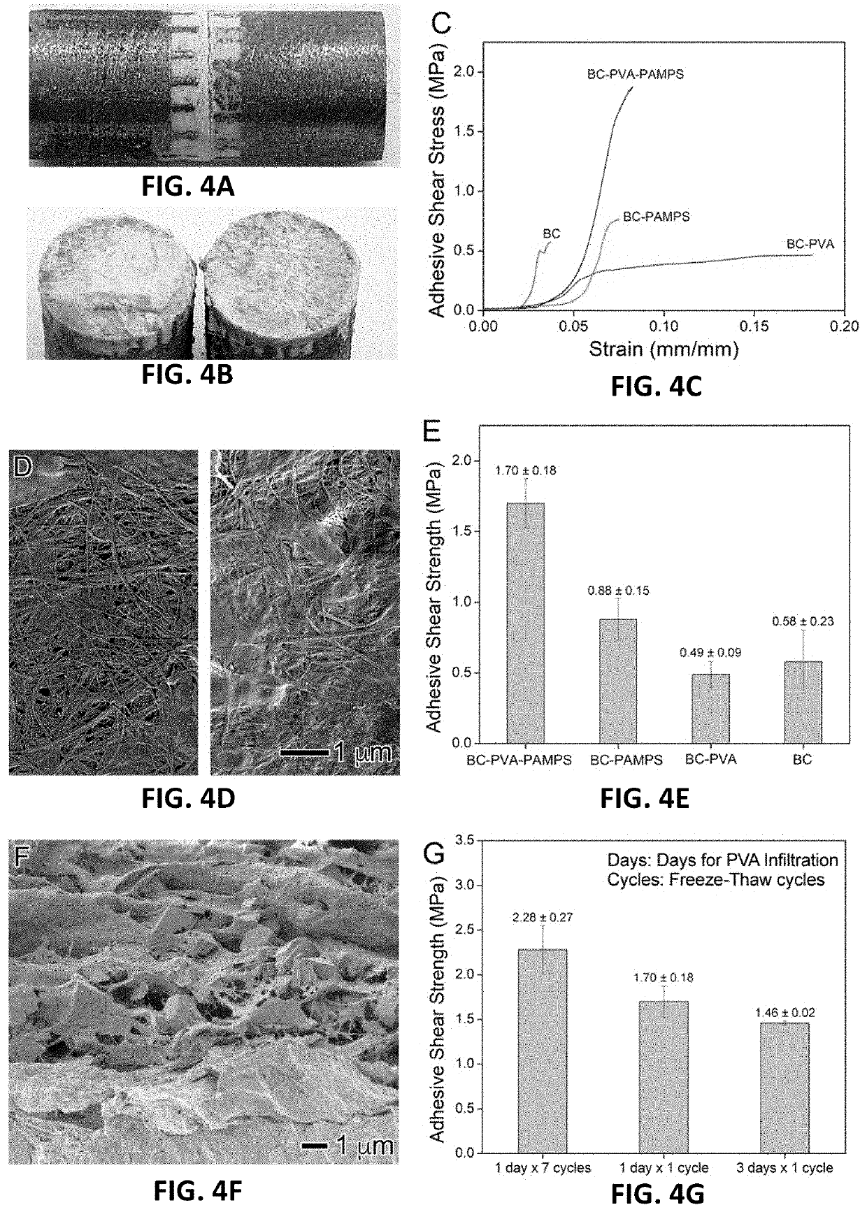 Nanofiber reinforcement of attached hydrogels