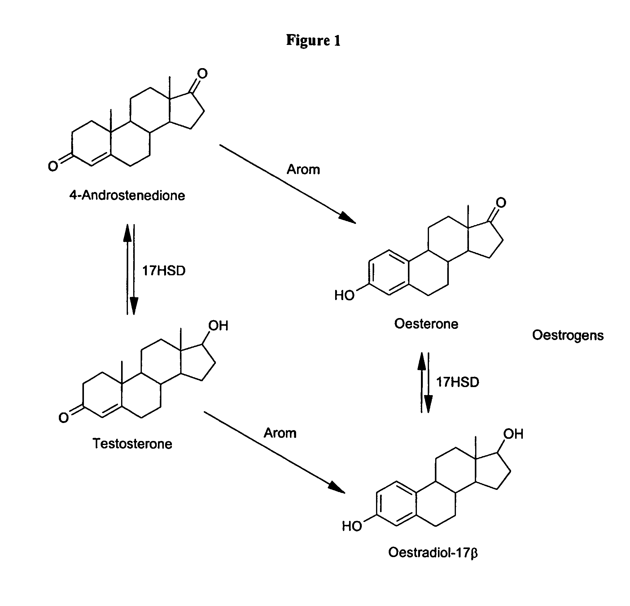 Method for measuring aromatase activity