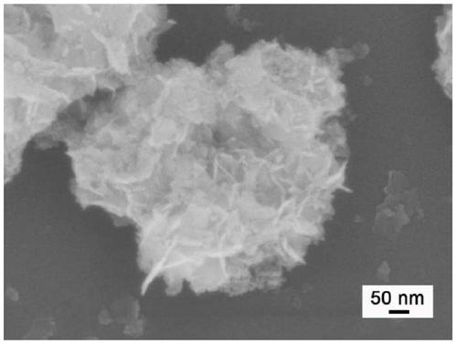 Bismuth-bismuth tungstate- bismuth oxybromide ternary composite and preparation method and application thereof