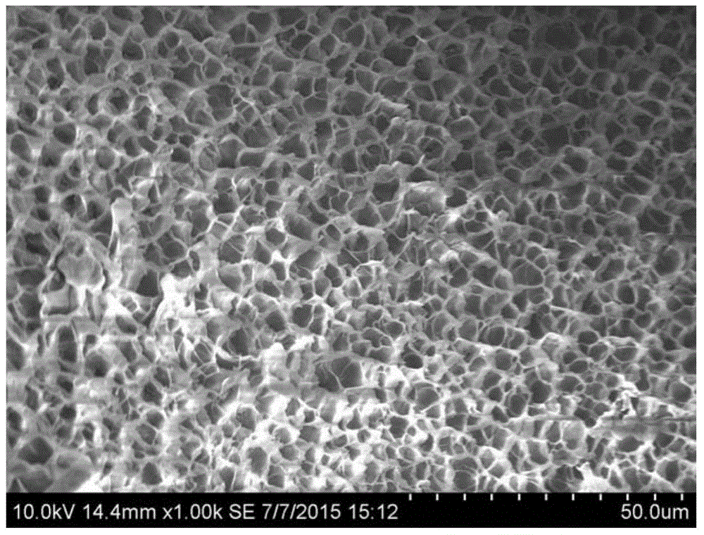 Pineapple waste hemicellulose based pH sensitive type porous hydrogel as well as preparation method and application thereof