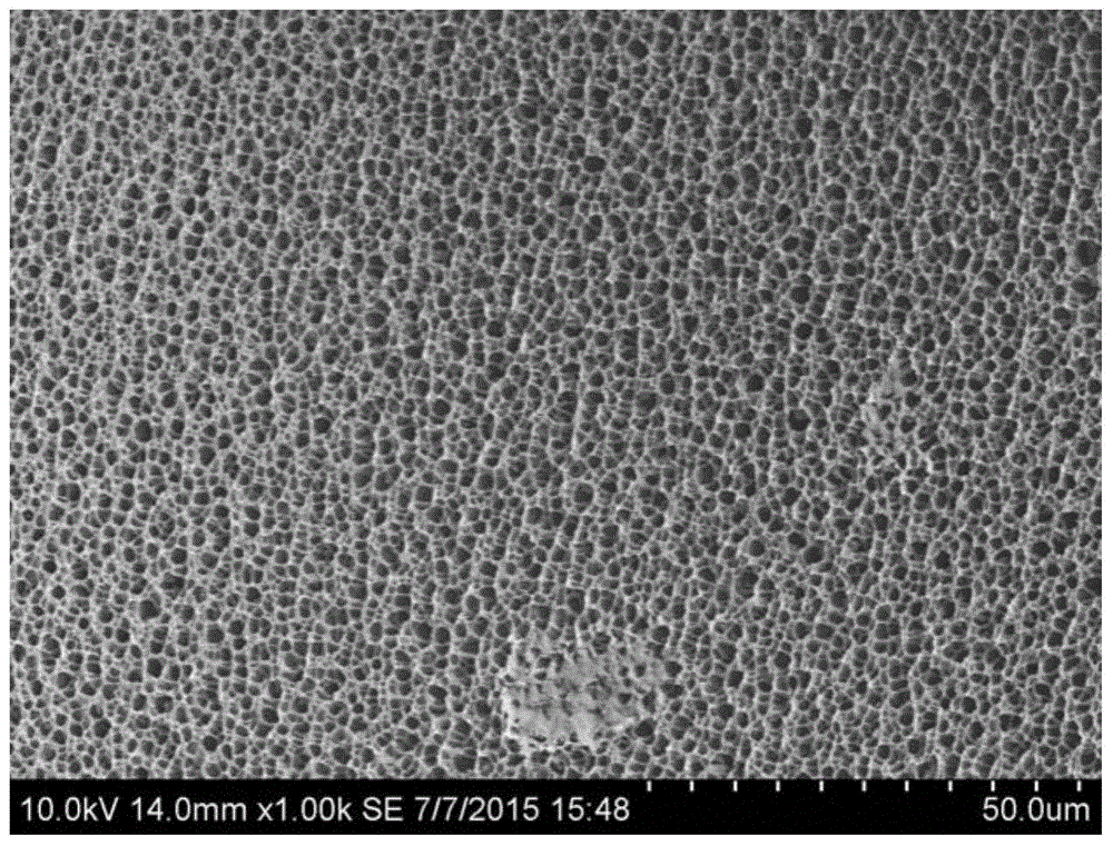 Pineapple waste hemicellulose based pH sensitive type porous hydrogel as well as preparation method and application thereof