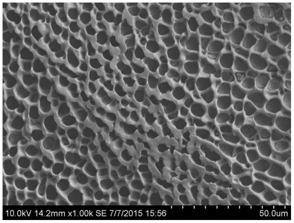 Pineapple waste hemicellulose based pH sensitive type porous hydrogel as well as preparation method and application thereof