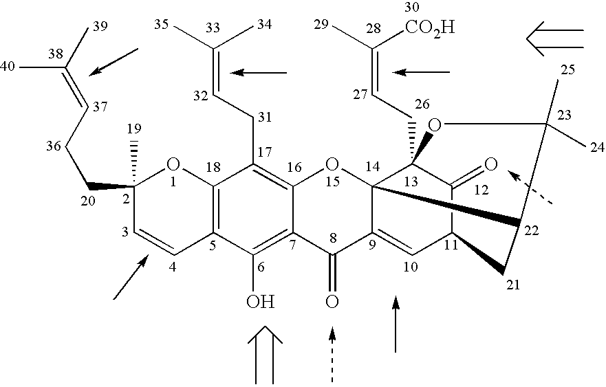 Derivatives of gambogic acid and analogs as activators of caspases and inducers of apoptosis