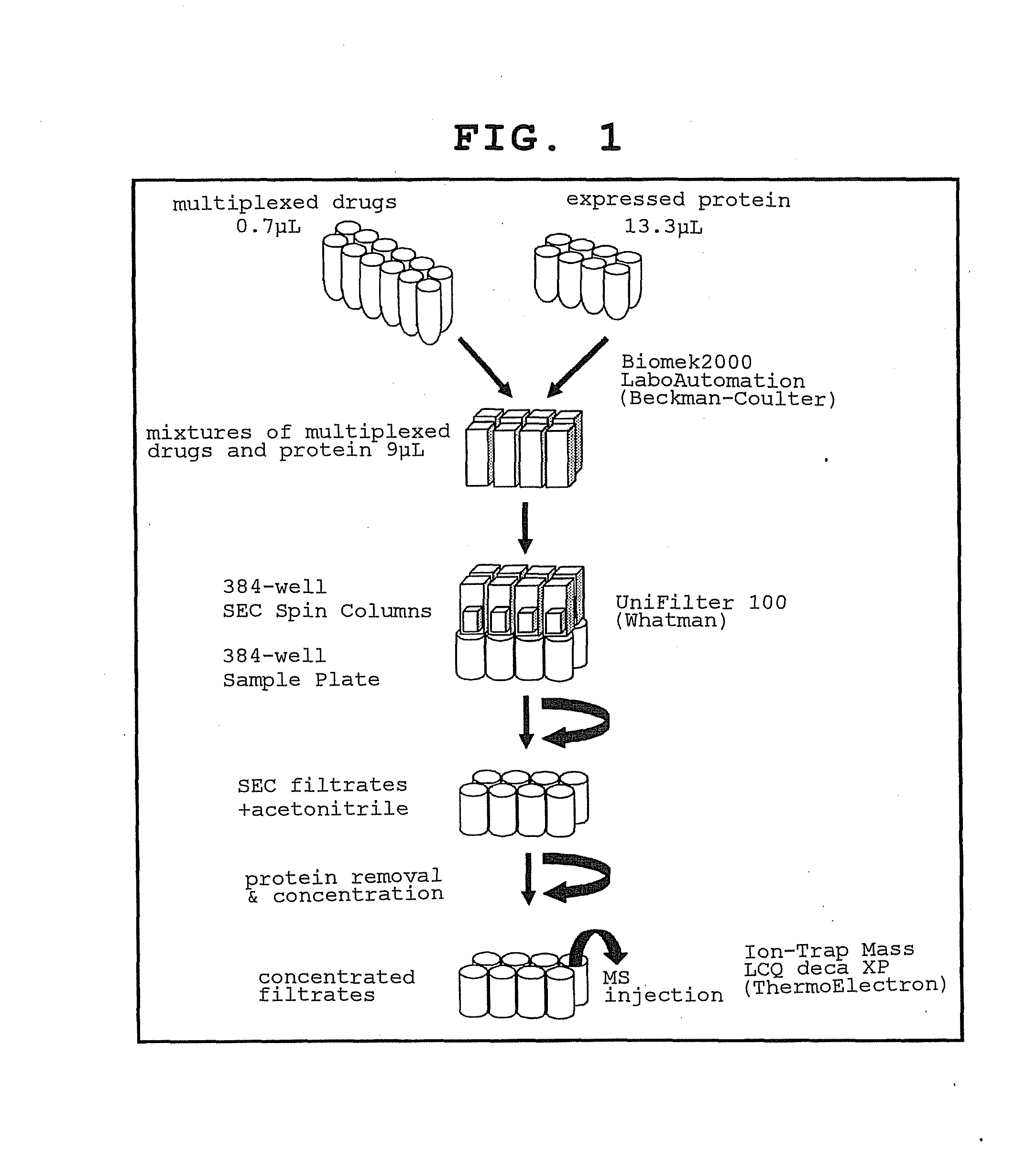 Target protein and target gene in drug designing and screening method