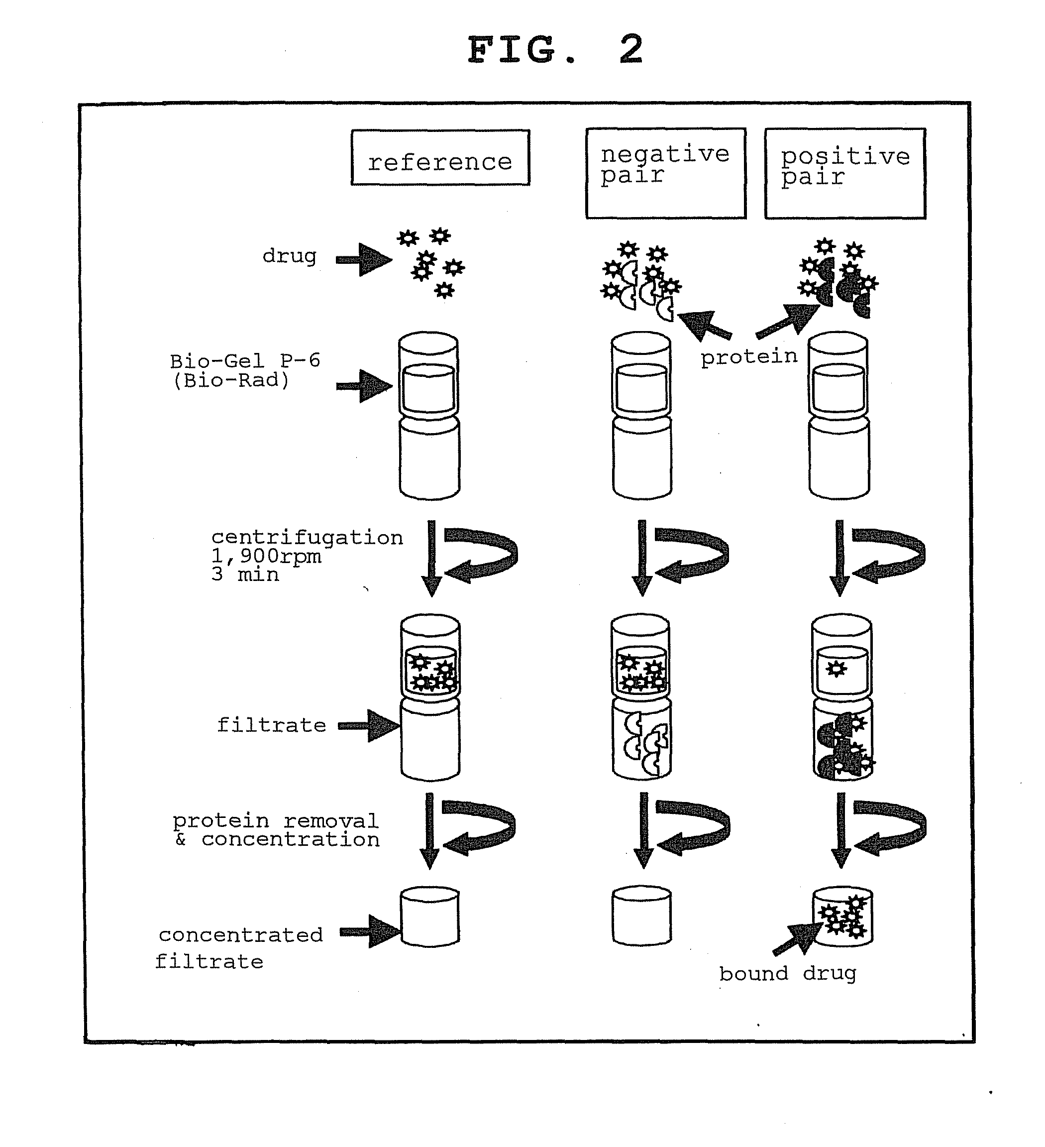 Target protein and target gene in drug designing and screening method