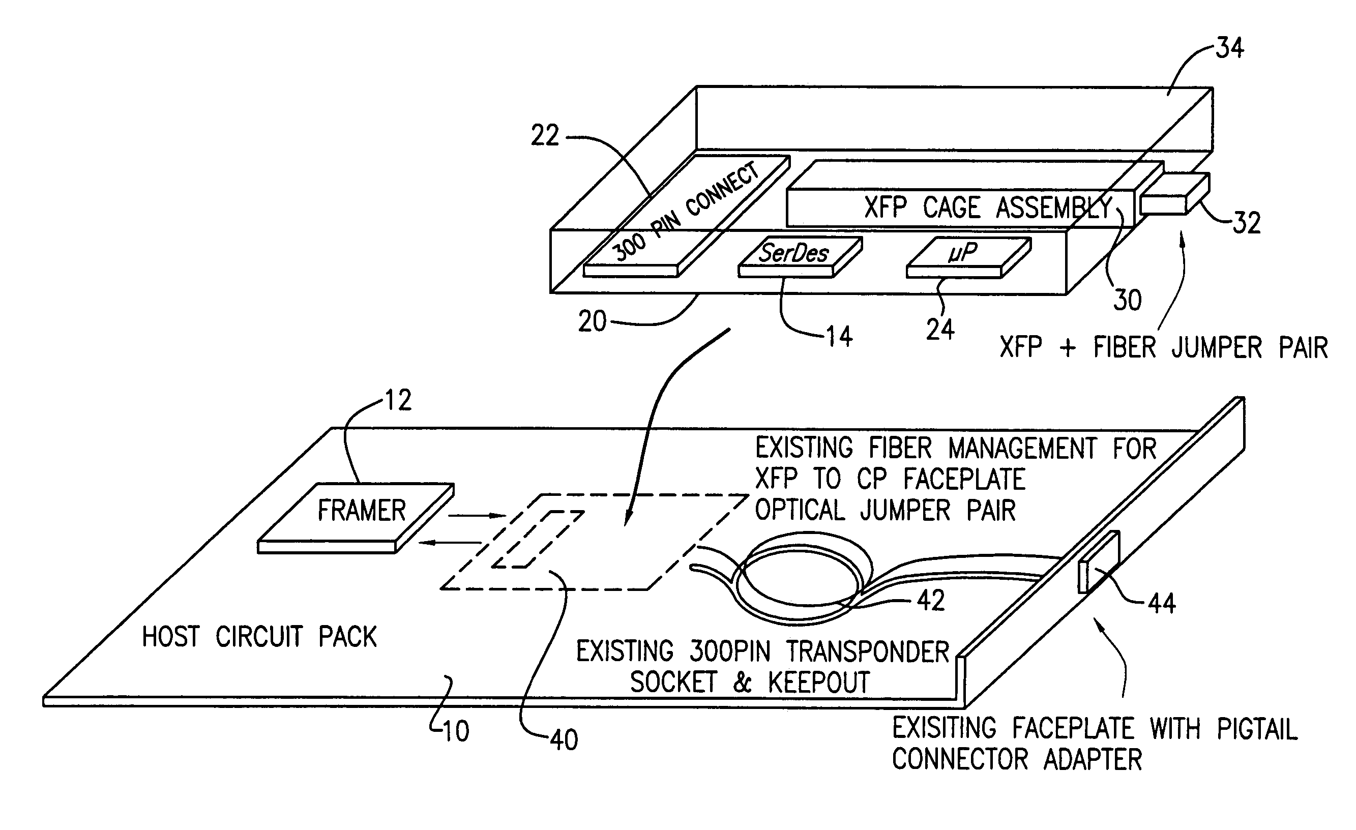 XFP adapter module