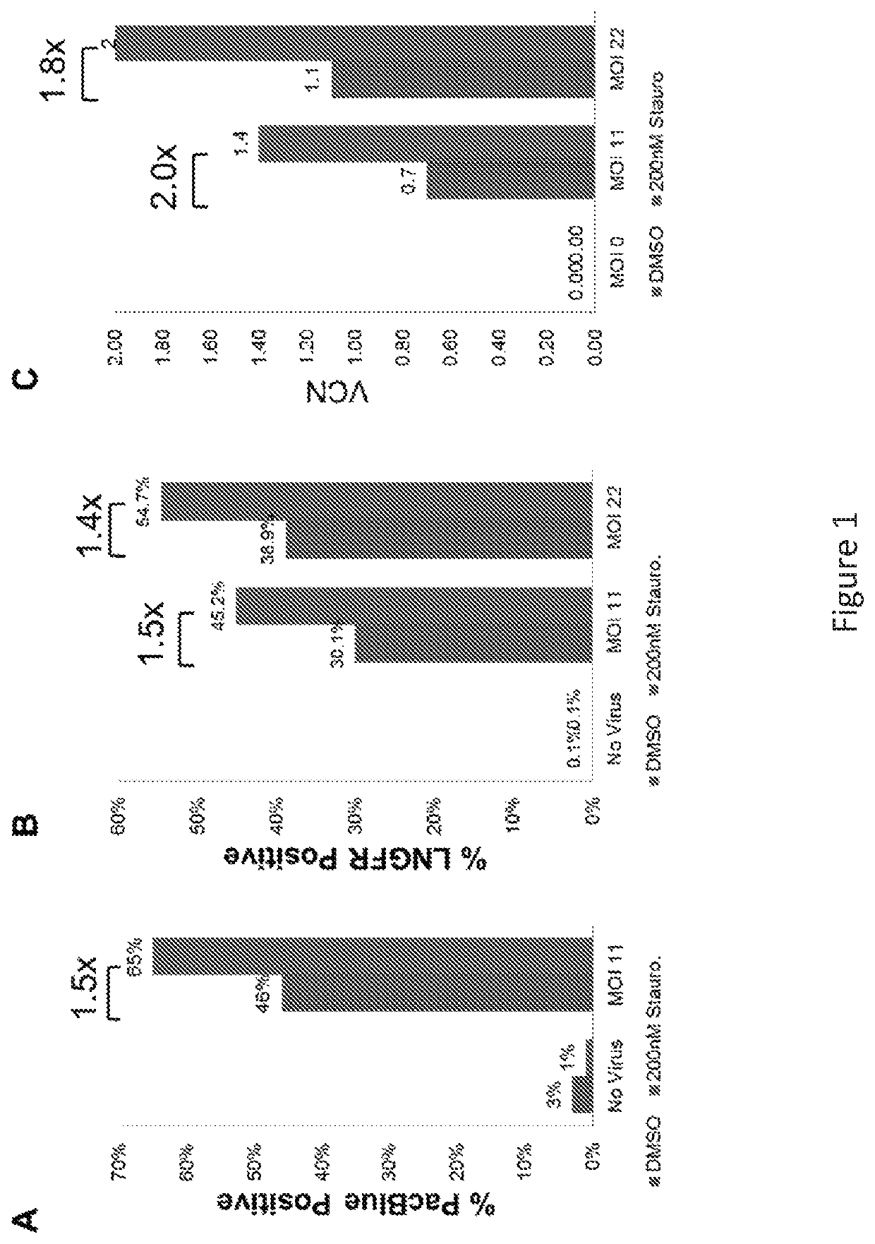 VCN enhancer compositions and methods of using the same