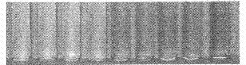 Synthetic method of precious metal nanometer optical probe for high-sensitivity and high-selectivity thiourea detection