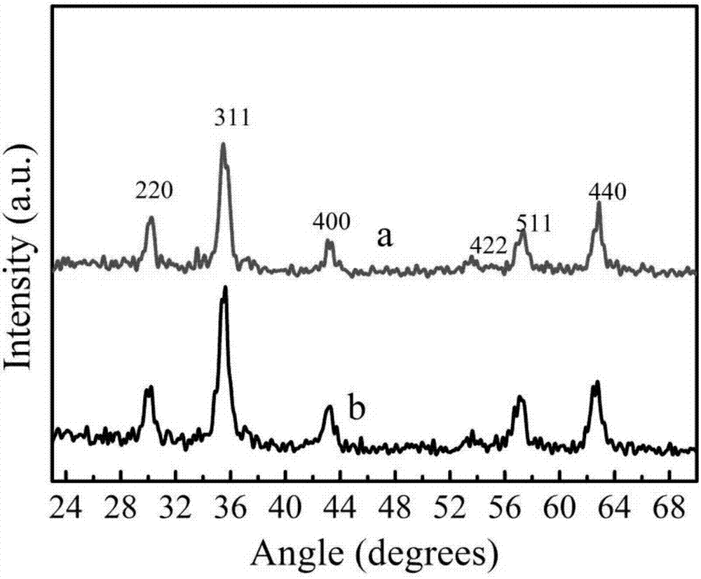 Composition, preparation and application of magnetic liposome vesicles