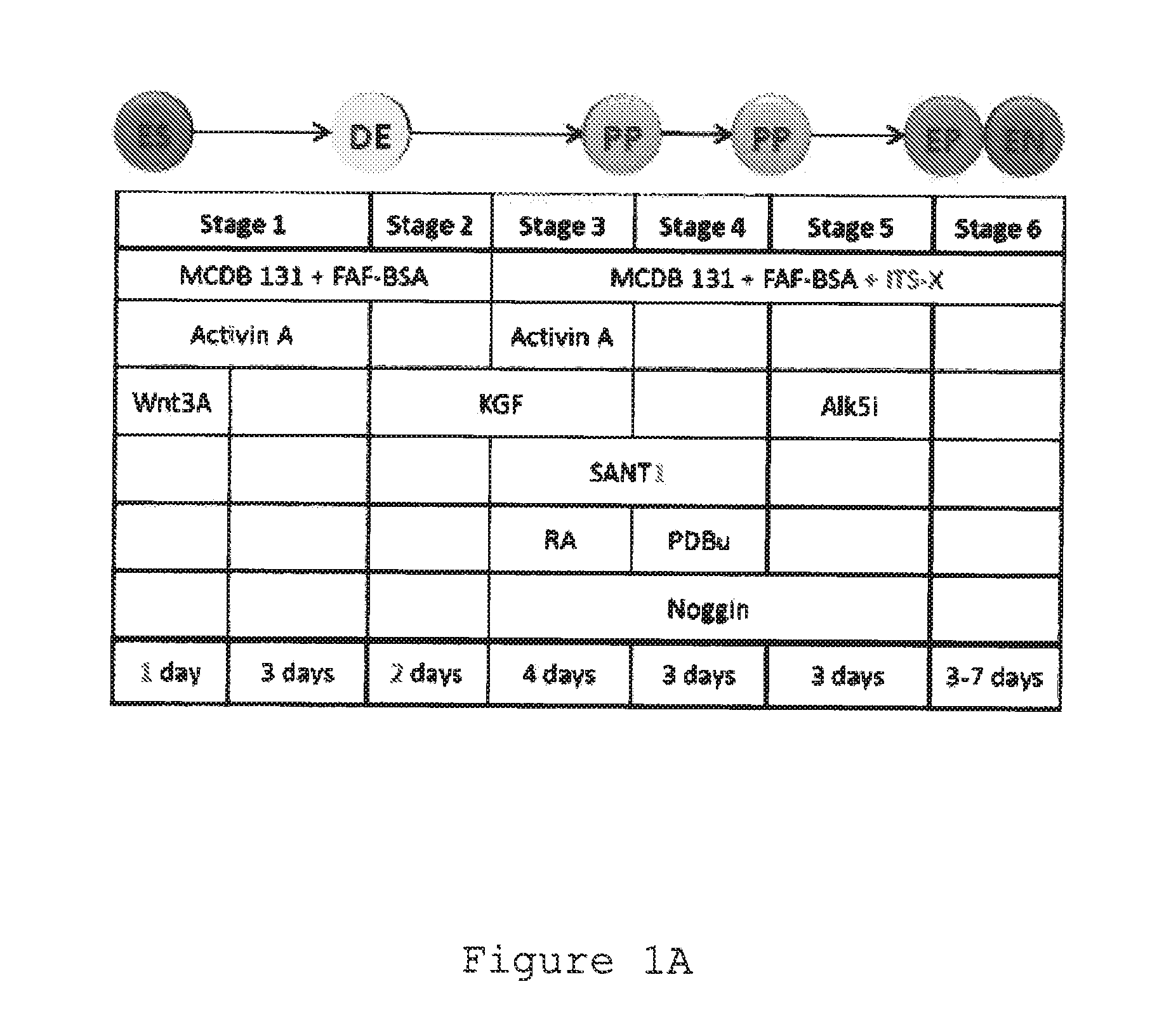 Markers for mature beta-cells and methods of using the same