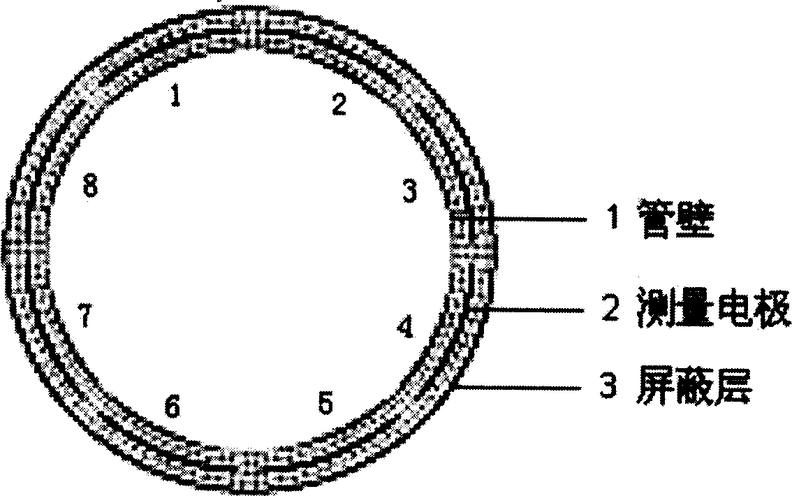 Two phase fluid phase concentration measuring method based on main component analysis and neuron network