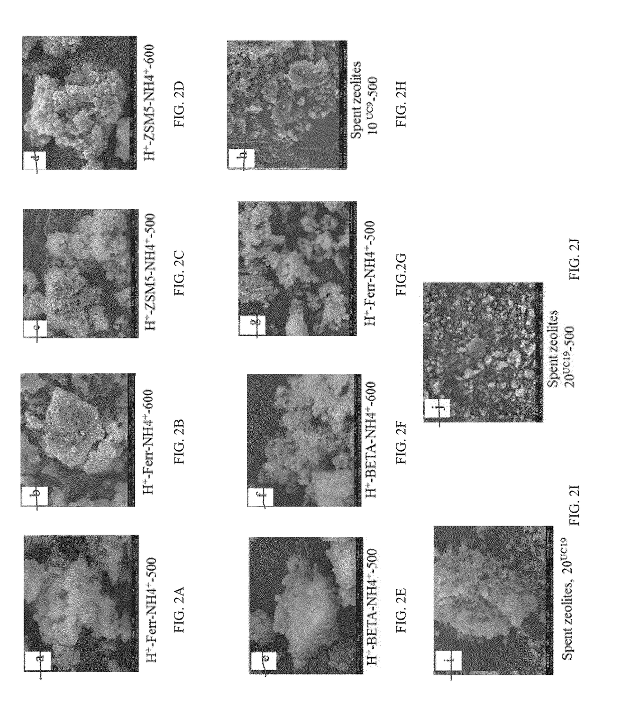 Saturated branched chain fatty acid production method