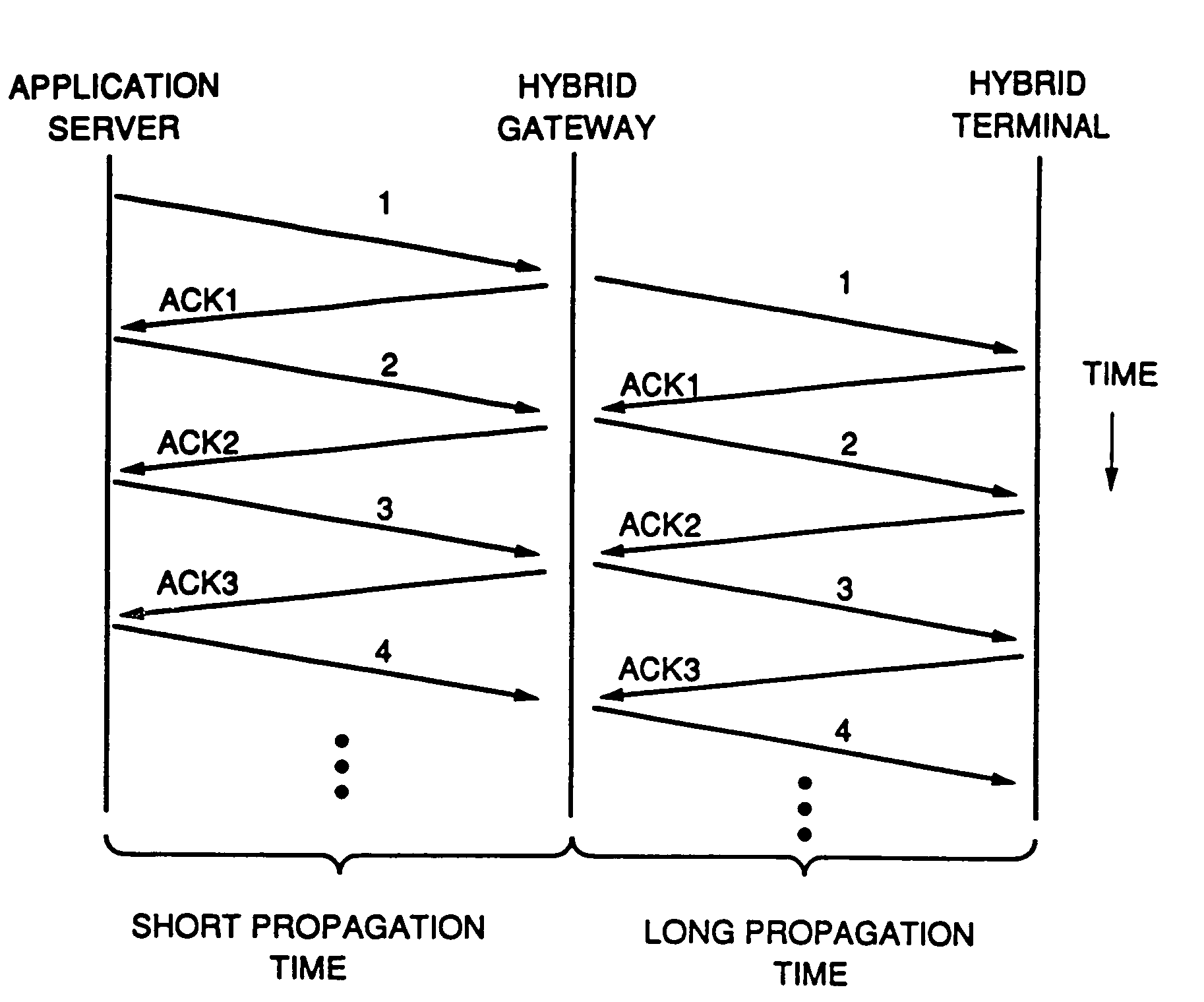 Network system with TCP/IP protocol spoofing