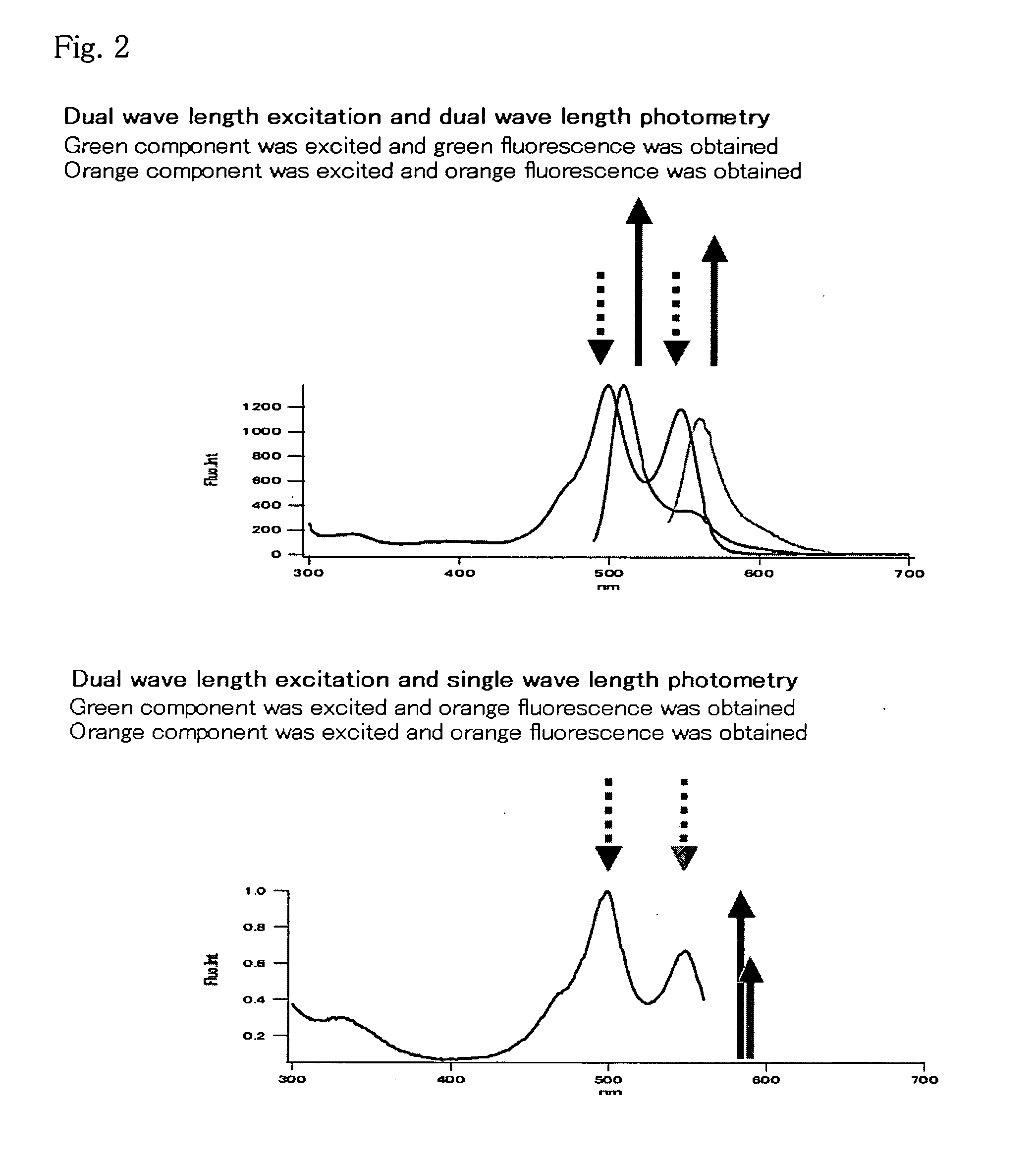 Method for analysis of protein interaction using fluorescent protein