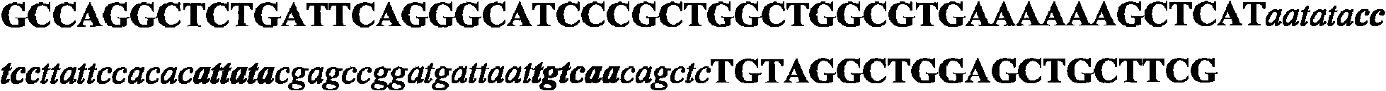 Method preparing methilanin and prosome homoserine or succinyl homoserine thereof using sulphate permease expression-enhanced tiny organism