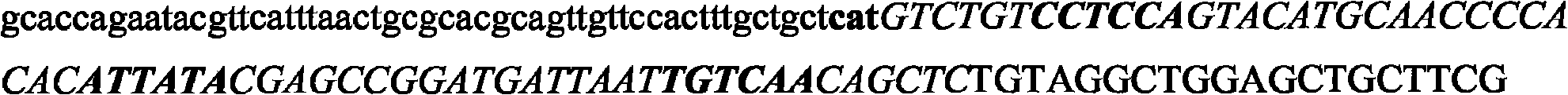 Method preparing methilanin and prosome homoserine or succinyl homoserine thereof using sulphate permease expression-enhanced tiny organism