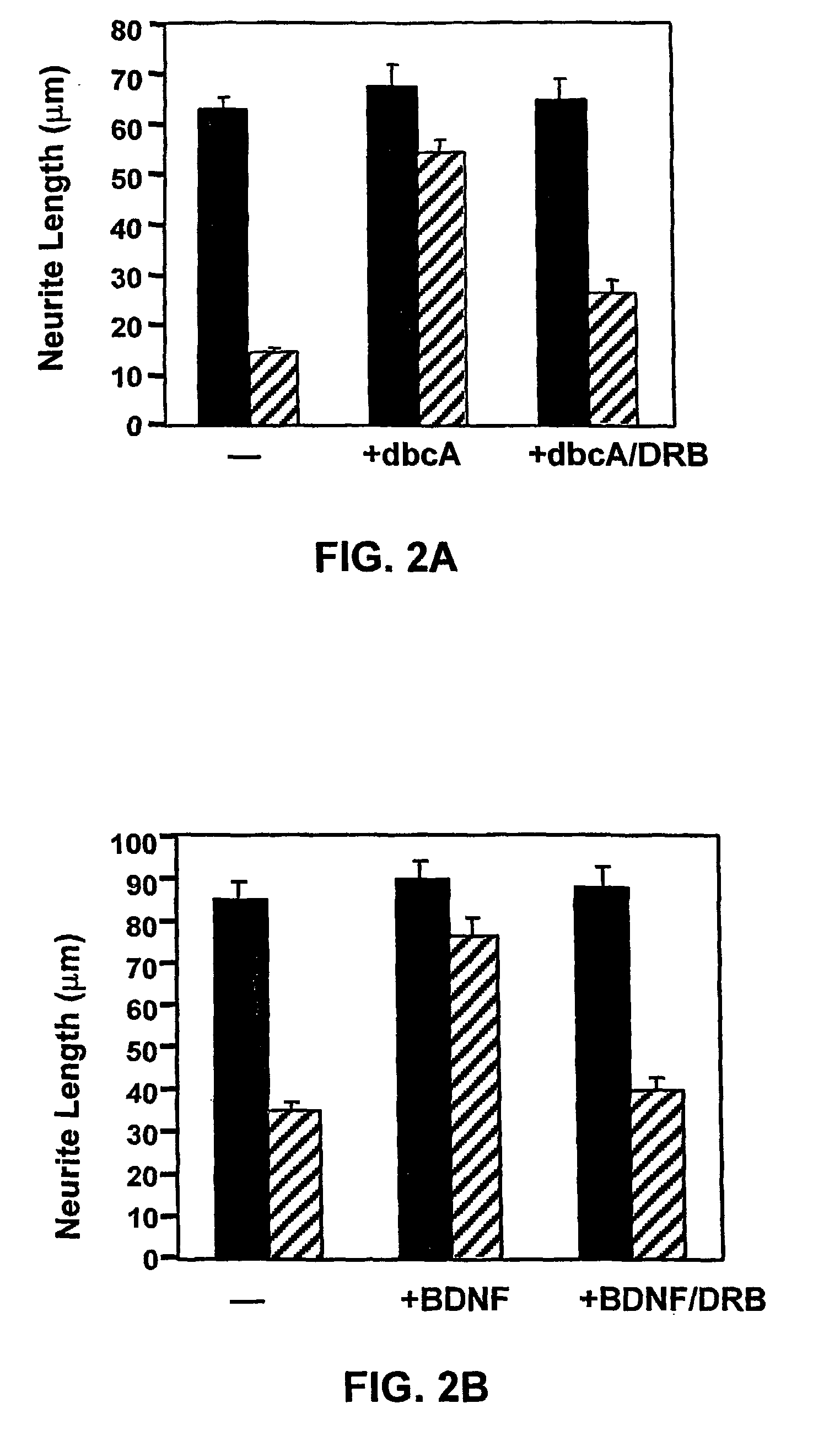 Methods for stimulating nervous system regeneration and repair by regulating arginase I and polyamine synthesis