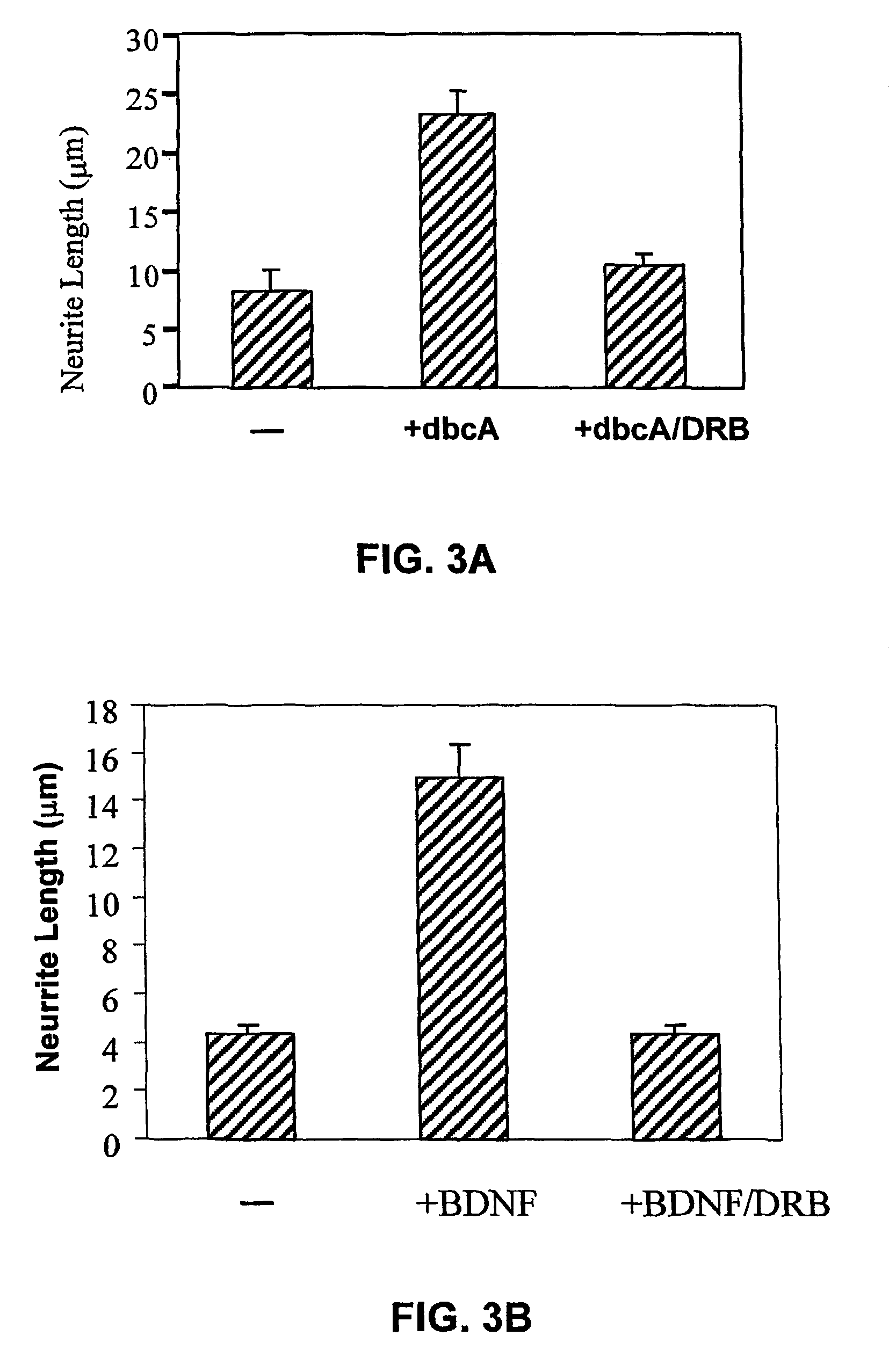 Methods for stimulating nervous system regeneration and repair by regulating arginase I and polyamine synthesis