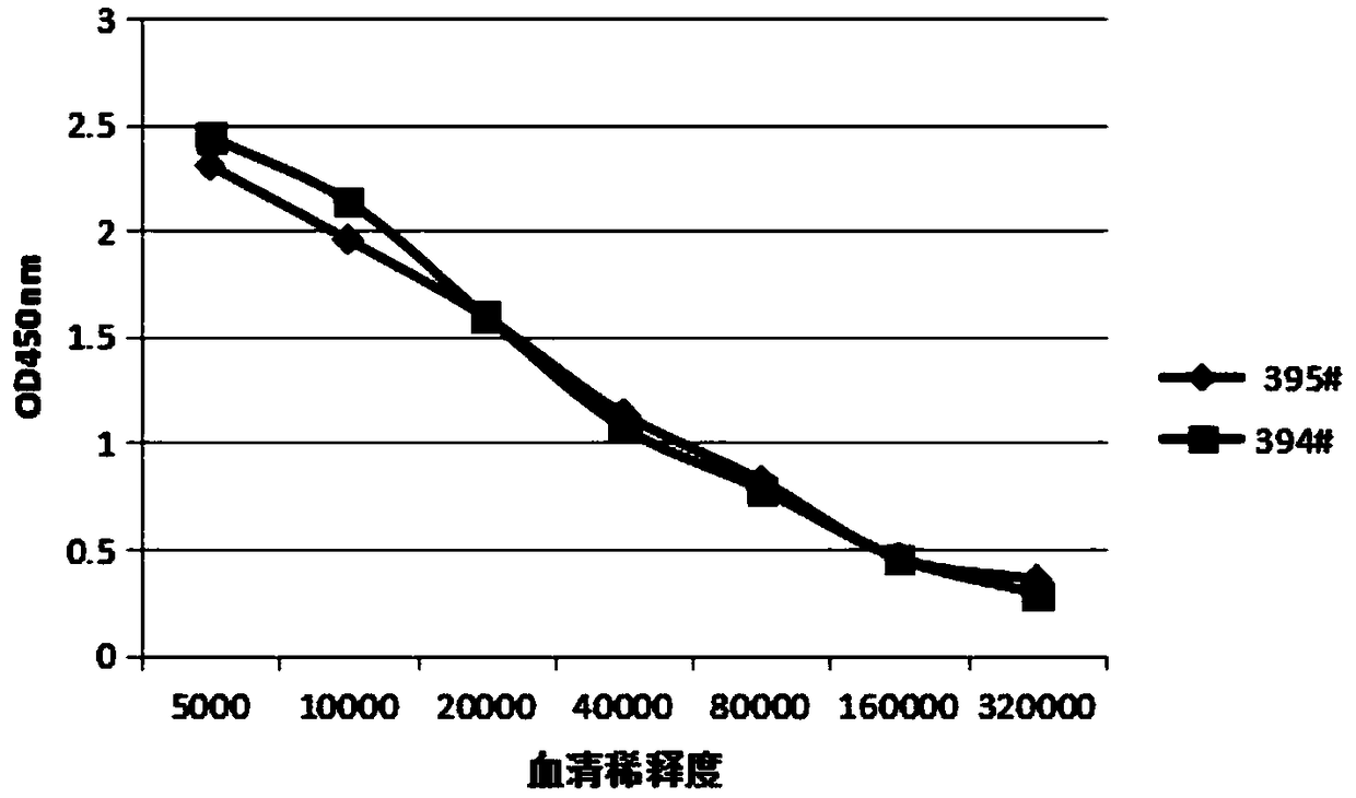 Hybridoma cell line scca1 and its secreted monoclonal antibody and application