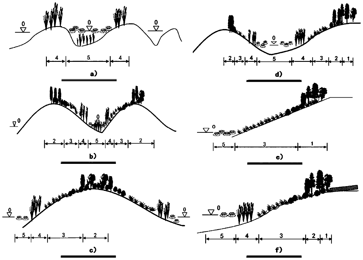 A method for constructing multi-habitat three-dimensional vegetation in embankment-type lakeside belt