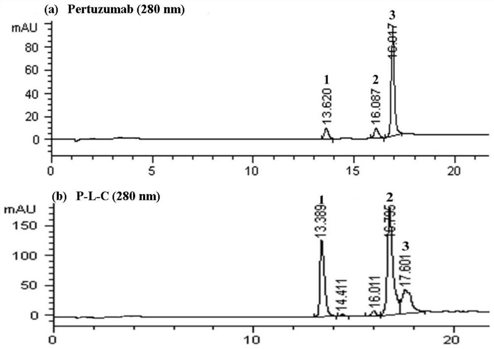 Two kinds of anti-her2 antibody-chaetokin conjugates and their preparation method and anti-tumor application