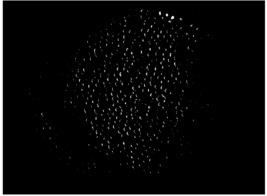 Method for synthesizing monolithic 4A molecular sieve by dry glue process